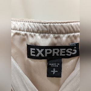 Express Dress in Champaign color